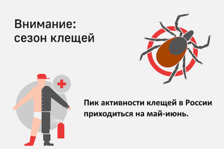 О профилактике инфекций, передающихся клещами.