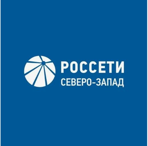 Псковский филиал ПАО «Россети Северо-Запад» продолжает работу по предотвращению хищений электрооборудования с энергообъектов.