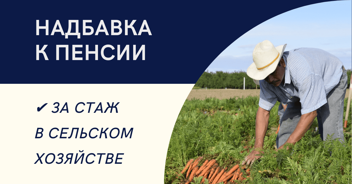 Более 5 тысяч жителей Псковской области получают доплату к пенсии за «сельский стаж».